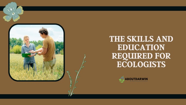 Ecology Careers