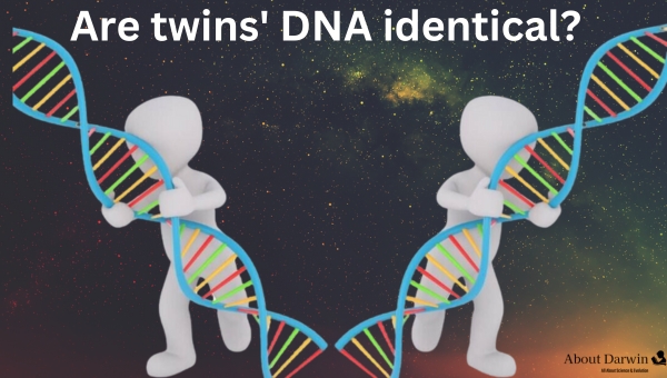 Siblings Have The Same DNA
