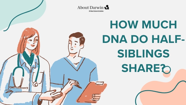 How much DNA do half-siblings share?