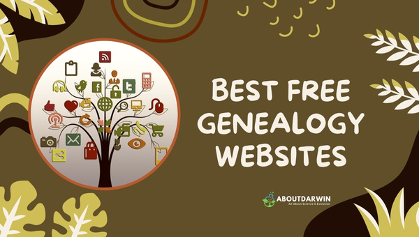 Best Free Genealogy Websites