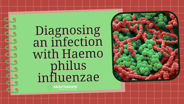 Unlocking Insight: Haemophilus Influenzae Explained in Depth