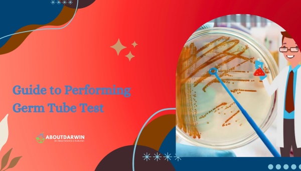 Guide to Performing Germ Tube Test