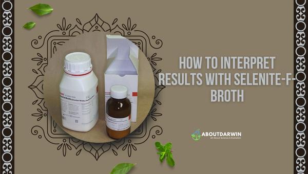 How to Interpret Results with Selenite F Broth?