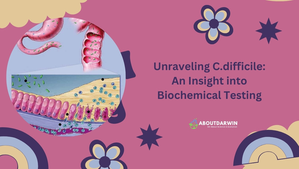 Unraveling C.difficile: An Insight into Biochemical Testing