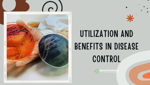 Utilization and Benefits in Disease Control