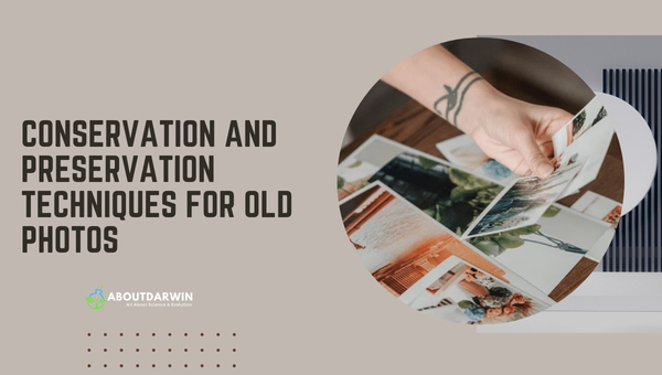 Conservation and Preservation Techniques for Old Photos