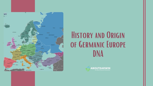 History and Origin of Germanic Europe DNA