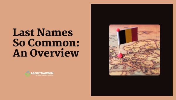 Last Names So Common: An Overview