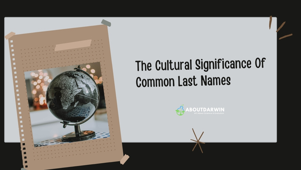 The Cultural Significance Of Common Last Names