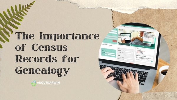 The Importance of Census Records for Genealogy