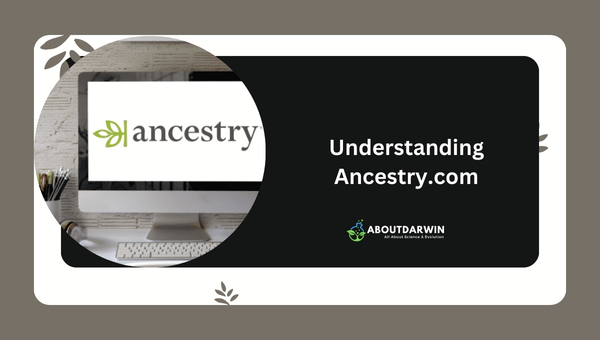 Understanding Ancestry.com