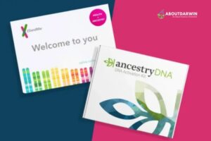 Comparing 23andMe vs AncestryDNA: Which Suits You Best