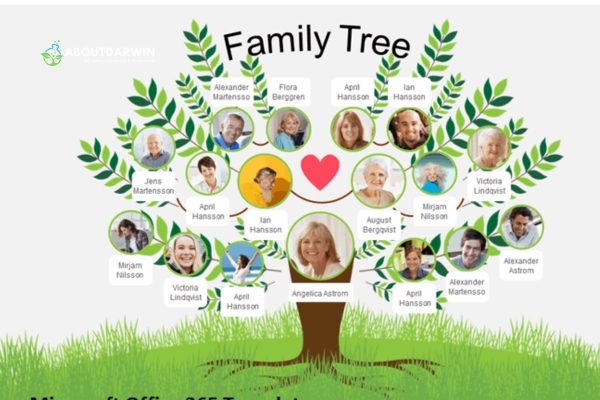 Can Your Child Have More Ethnicity Than You: Family Trees and Ancestral Branches