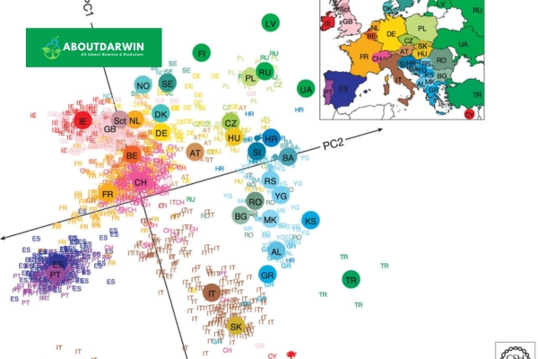 Forces Shaping Genetic Diversity