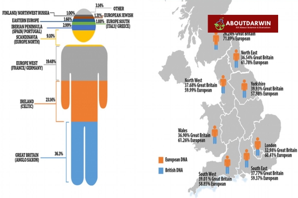 The Building Blocks of British Heritage