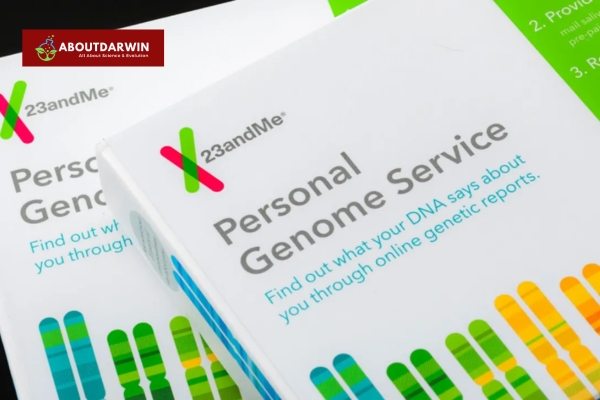 What is 23andMe?