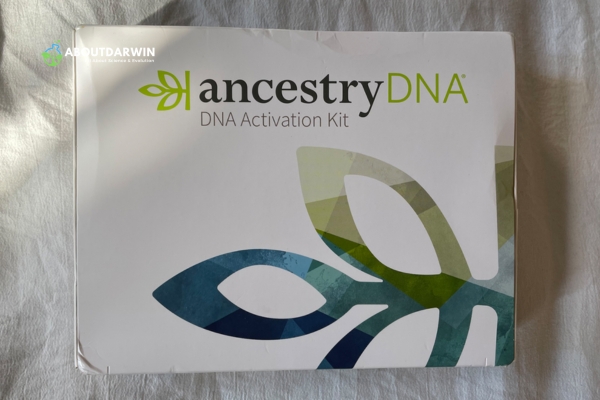 What is AncestryDNA?