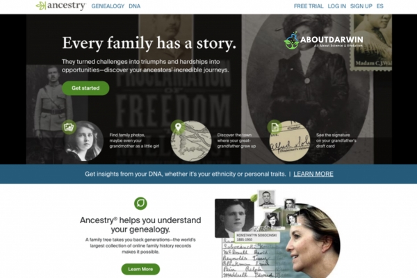 Best US Genealogy Websites