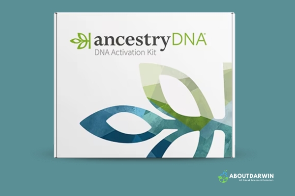 AncestryDNA Results: Enhancing Genealogical Research with AncestryDNA