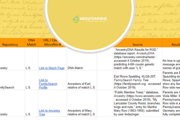 DNA Match Spreadsheet - Enhancing Research with Collaboration Tools