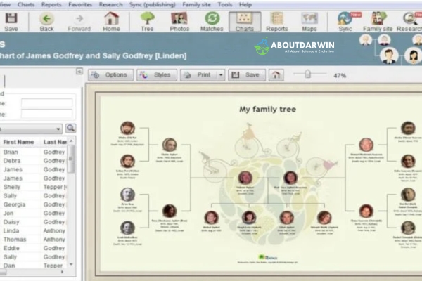 Importance of Using Genealogy Tools