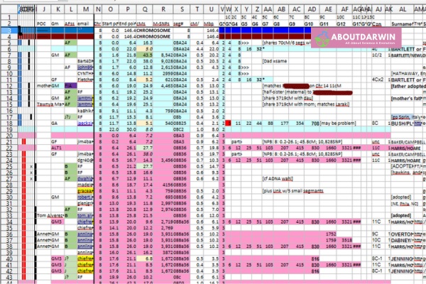 DNA Match Spreadsheet - 