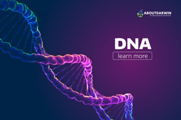 Should I Take DNA Test for My Genealogy: Types of DNA Tests Available