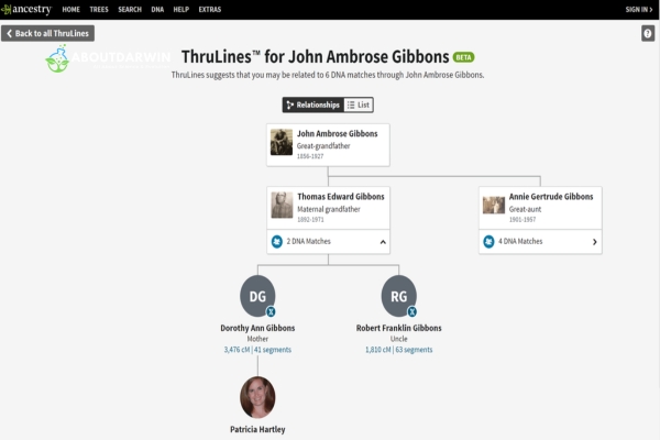 ThruLines Overview and Features: Advantages of Using Thrulines in Genealogy Research