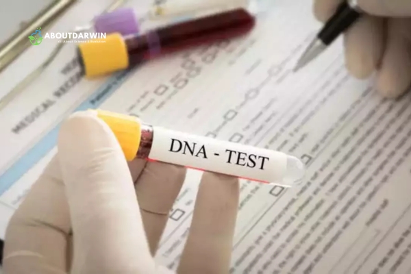 Easy Privacy Musts for DNA Testers: Choose Reputable Companies