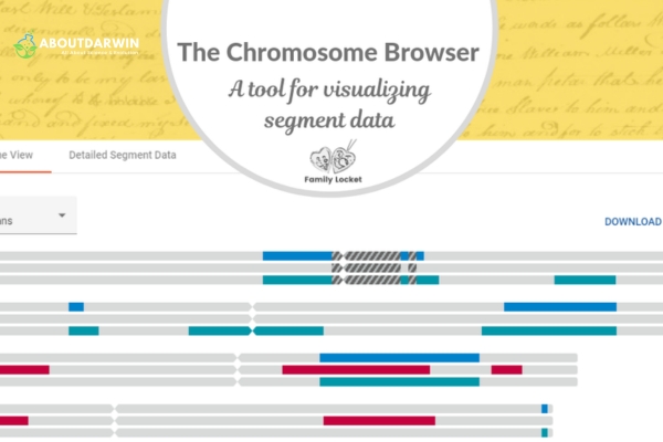 What Is a Chromosome Browser?