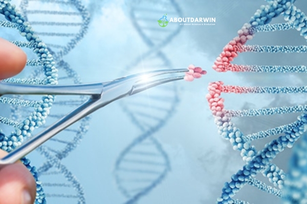 DNA Rumors: Facts About DNA and Genealogy