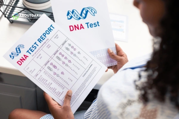 What Information Does DNA Tests Give?