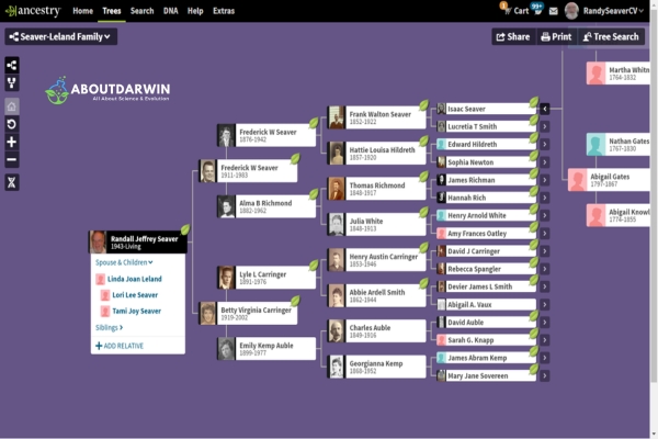 ThruLines Overview and Features: Key Features of AncestryDNA ThruLines