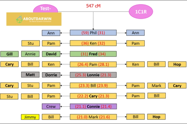 Interpreting Shared Matches Results