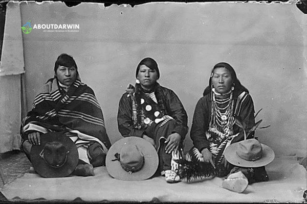 Native American Ancestors Research: Federal and Tribal Records