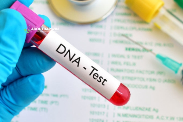 Debunking DNA Myths and Facts About DNA and Genealogy