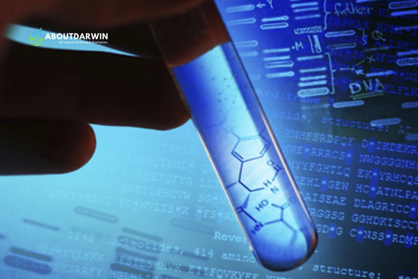 Things to Do While Waiting for DNA Results: Understanding the DNA Testing Process