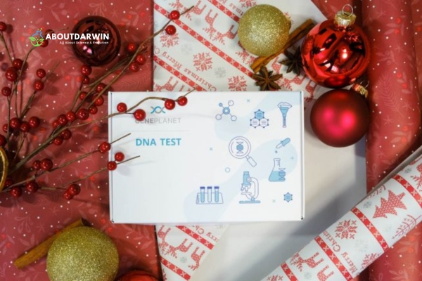 The Appeal of Giving a DNA Test as a Gift