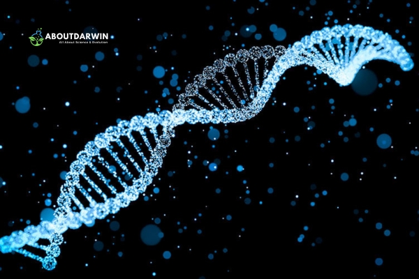 The Science Behind DNA Testing