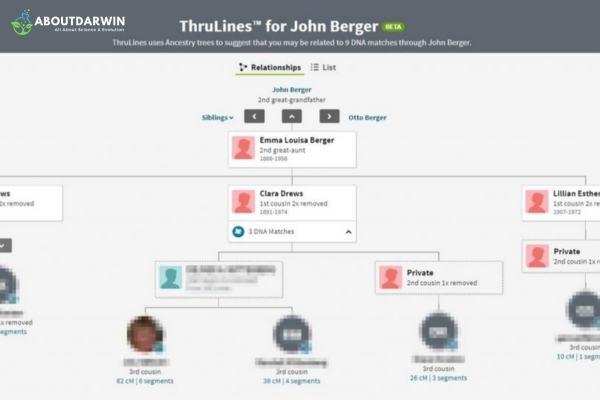 ThruLines Overview and Features: Understanding AncestryDNA ThruLines