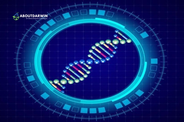 Understanding the Mystery of DNA Matches