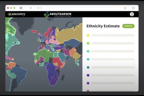 What Are DNA Ethnicity Estimates?