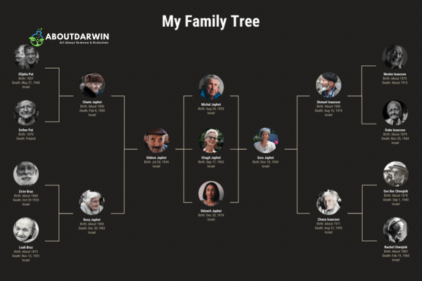 Research With MyHeritage