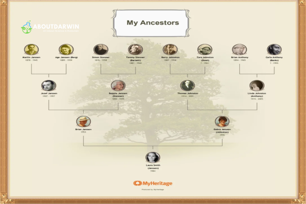 Creating a Family Tree