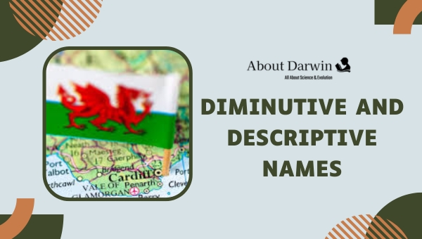 Diminutive and Descriptive Names