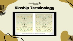 Kinship Terminology