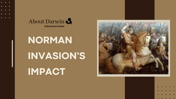 Norman Invasion's Impact