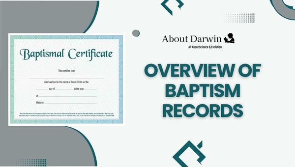 Overview of Baptism Records