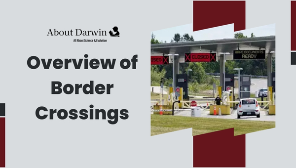 Overview of Border Crossings