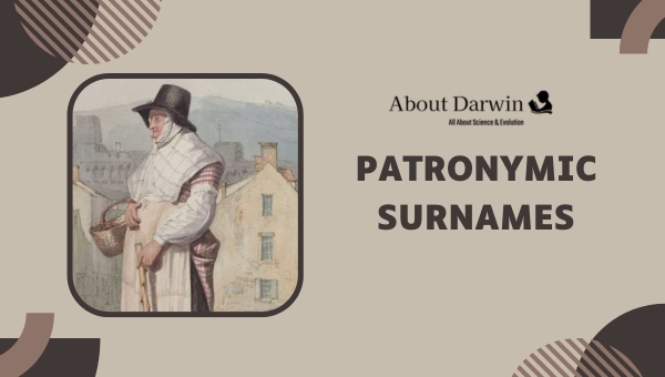 Patronymic Surnames